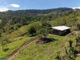  Guayabo - Photo 13