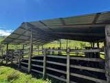  Guayabo - Photo 16