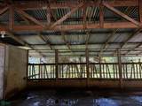  Guayabo - Photo 18