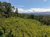  Guayabo - Photo 8