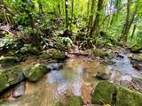  Ojochal - Photo 15