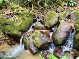  Ojochal - Photo 16