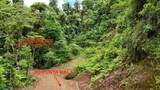  Ojochal - Photo 5