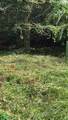  Finca Gloriana - Photo 4