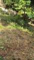  Finca Gloriana - Photo 5
