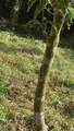  Finca Gloriana - Photo 6