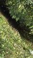  Finca Gloriana - Photo 7