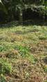  Finca Gloriana - Photo 8