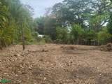 Lot 162 Calle 3, Copetivives, Playa Tivives - Photo 3