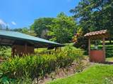  San Luis - Photo 10