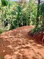  Calle Quetzal - Photo 3