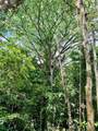  Calle Quetzal - Photo 4