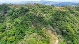  Eco Living Estate - Photo 13