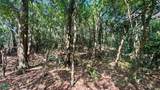  Eco Living Estate - Photo 7