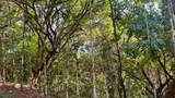  Eco Living Estate - Photo 9