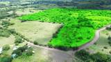  30 Hectare Finca in Santa Cruz - Photo 1