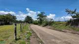  30 Hectare Finca in Santa Cruz - Photo 9