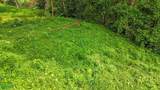  Ojochal, Phase 6 - Photo 12