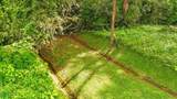  Ojochal, Phase 6 - Photo 9