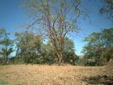  Amazing Ocean View Lots in Tamarindo - Photo 19
