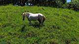  Finca Toro - Photo 16