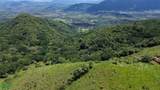  Finca Toro - Photo 5
