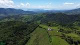 Finca Toro - Photo 6