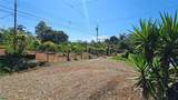  Citrus Farm - Photo 11