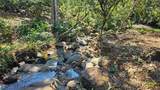  Citrus Farm - Photo 12