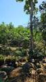  Citrus Farm - Photo 13