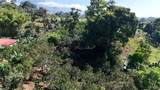  Citrus Farm - Photo 14