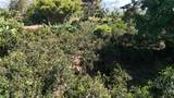  Citrus Farm - Photo 15