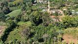  Citrus Farm - Photo 16