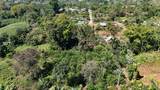  Citrus Farm - Photo 17