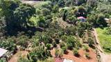  Citrus Farm - Photo 18