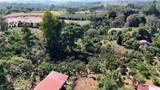  Citrus Farm - Photo 19