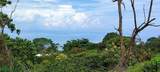  Bijagual Carara Turrubares - Photo 11
