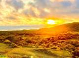  Best Ocean View Lot On The Market in Playa Grande - Photo 9