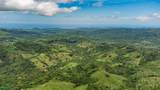  16 Ha Ocean View Finca, Maquenco - Photo 2