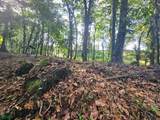  Fortuna - Photo 16