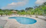  Casa Colibri And Lorito - Photo 2