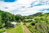  437 Acres, Nicoya, Scenic Views, Abundant Water - Photo 13