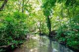  437 Acres, Nicoya, Scenic Views, Abundant Water - Photo 18