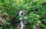  437 Acres, Nicoya, Scenic Views, Abundant Water - Photo 21