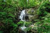  437 Acres, Nicoya, Scenic Views, Abundant Water - Photo 22
