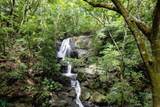  437 Acres, Nicoya, Scenic Views, Abundant Water - Photo 37