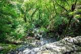  437 Acres, Nicoya, Scenic Views, Abundant Water - Photo 39