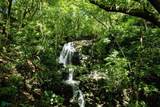 437 Acres, Nicoya, Scenic Views, Abundant Water - Photo 46