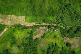  437 Acres, Nicoya, Scenic Views, Abundant Water - Photo 8