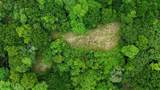  Santa Teresa Town &ndash; Heart Hillside - Photo 11